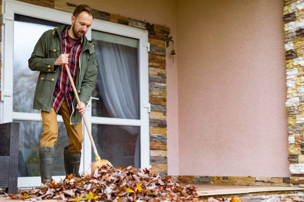 Best Basement Cleanout Services  in Clendenin, WV